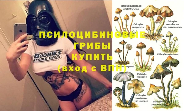 хмурый Богородск