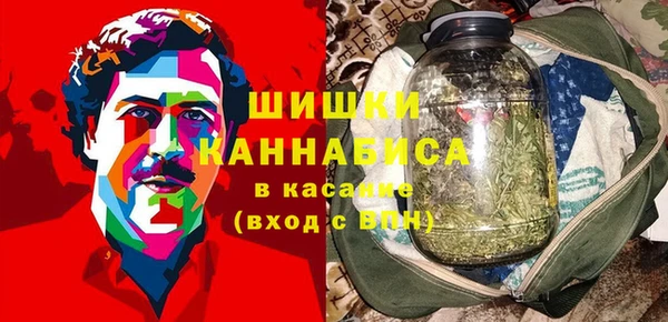 хмурый Богородск