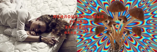 дмт Богородицк